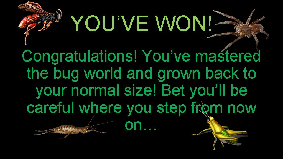 YOU’VE WON! Congratulations! You’ve mastered the bug world and grown back to your normal