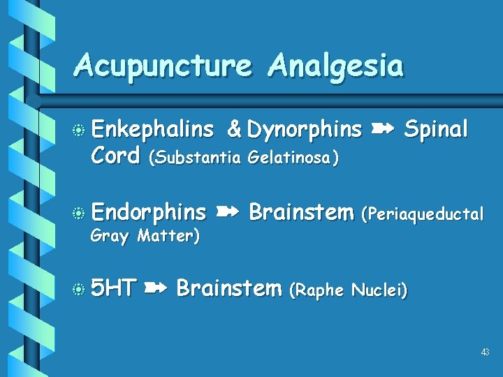 Acupuncture Analgesia b Enkephalins Cord (Substantia Gelatinosa ) b Endorphins Gray Matter) b 5