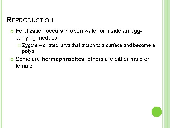 REPRODUCTION Fertilization occurs in open water or inside an eggcarrying medusa � Zygote –