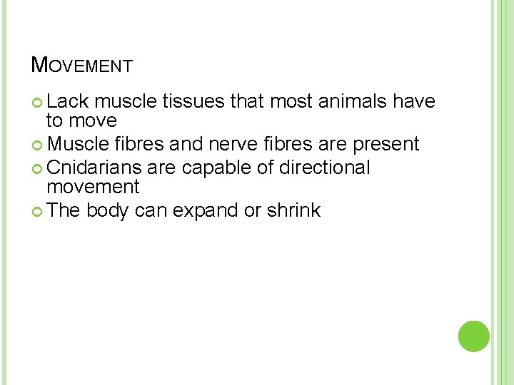 MOVEMENT Lack muscle tissues that most animals have to move Muscle fibres and nerve