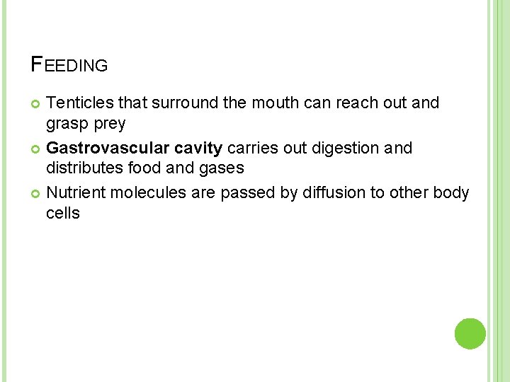 FEEDING Tenticles that surround the mouth can reach out and grasp prey Gastrovascular cavity