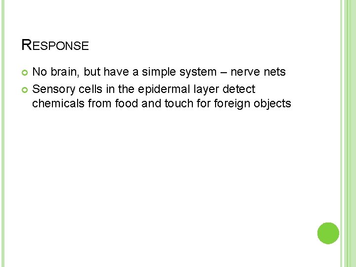 RESPONSE No brain, but have a simple system – nerve nets Sensory cells in