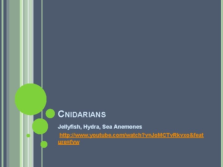 CNIDARIANS Jellyfish, Hydra, Sea Anemones http: //www. youtube. com/watch? v=Jo. MCTv. Rkvxo&feat ure=fvw 