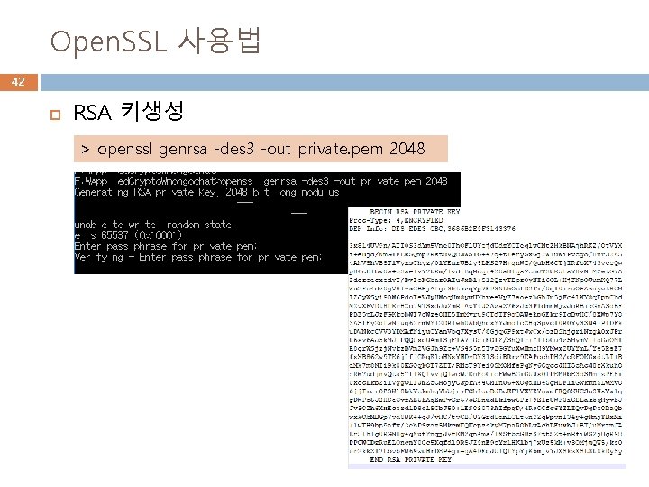 Open. SSL 사용법 42 RSA 키생성 > openssl genrsa -des 3 -out private. pem