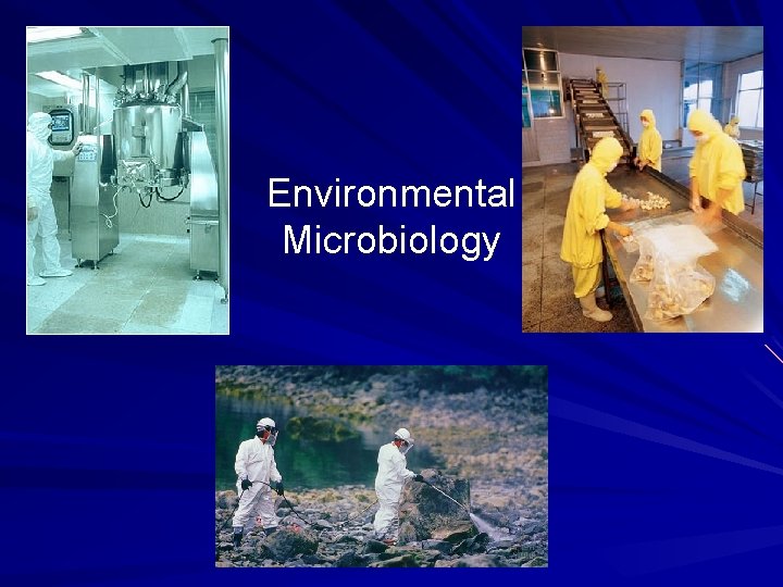 Environmental Microbiology 