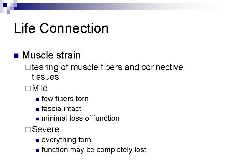 Life Connection n Muscle strain ¨ tearing tissues ¨ Mild of muscle fibers and