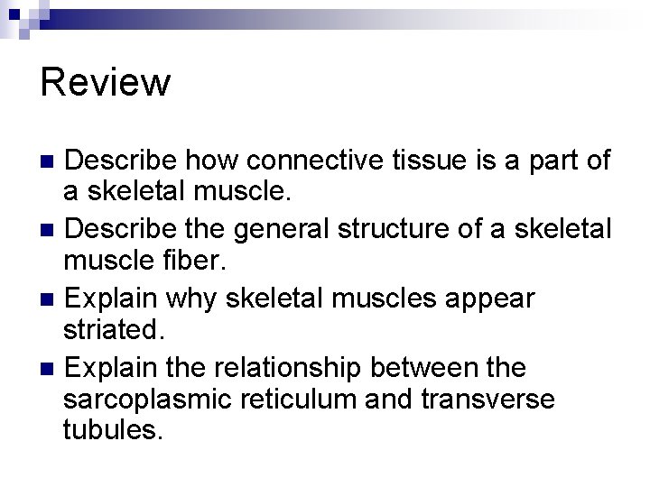 Review Describe how connective tissue is a part of a skeletal muscle. n Describe