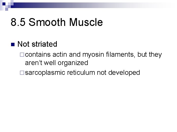 8. 5 Smooth Muscle n Not striated ¨ contains actin and myosin filaments, but