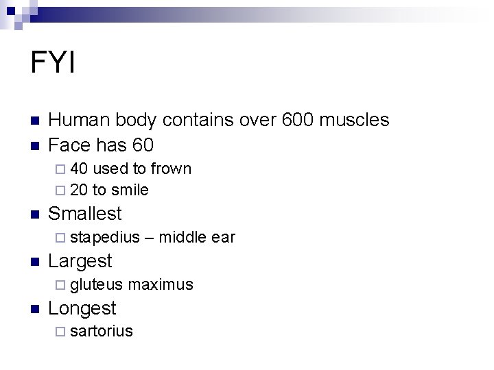 FYI n n Human body contains over 600 muscles Face has 60 ¨ 40