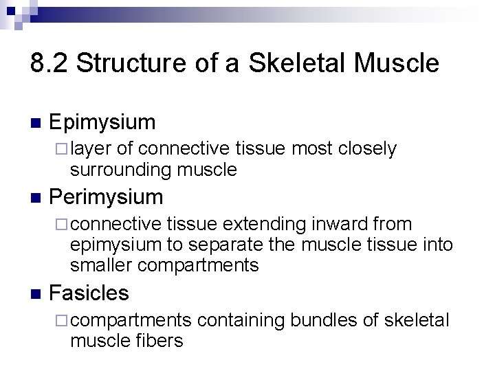 8. 2 Structure of a Skeletal Muscle n Epimysium ¨ layer of connective tissue