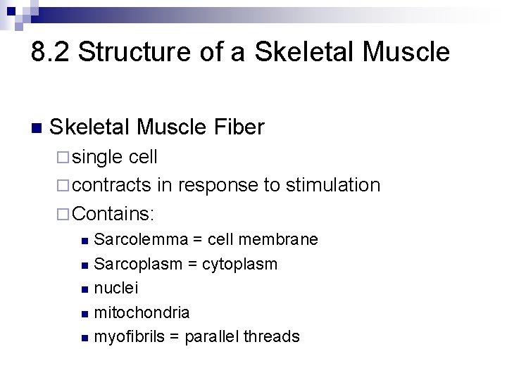 8. 2 Structure of a Skeletal Muscle n Skeletal Muscle Fiber ¨ single cell