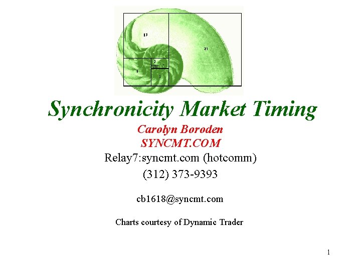 Synchronicity Market Timing Carolyn Boroden SYNCMT. COM Relay 7: syncmt. com (hotcomm) (312) 373