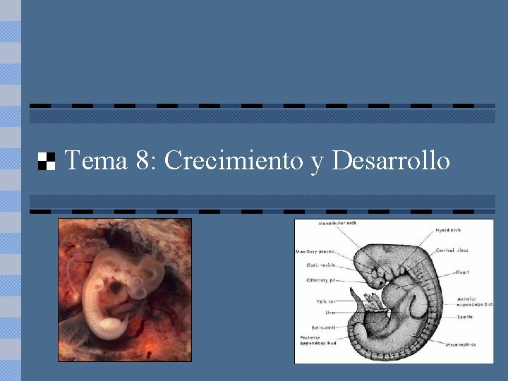 Tema 8: Crecimiento y Desarrollo 