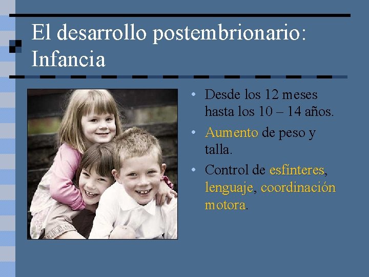 El desarrollo postembrionario: Infancia • Desde los 12 meses hasta los 10 – 14