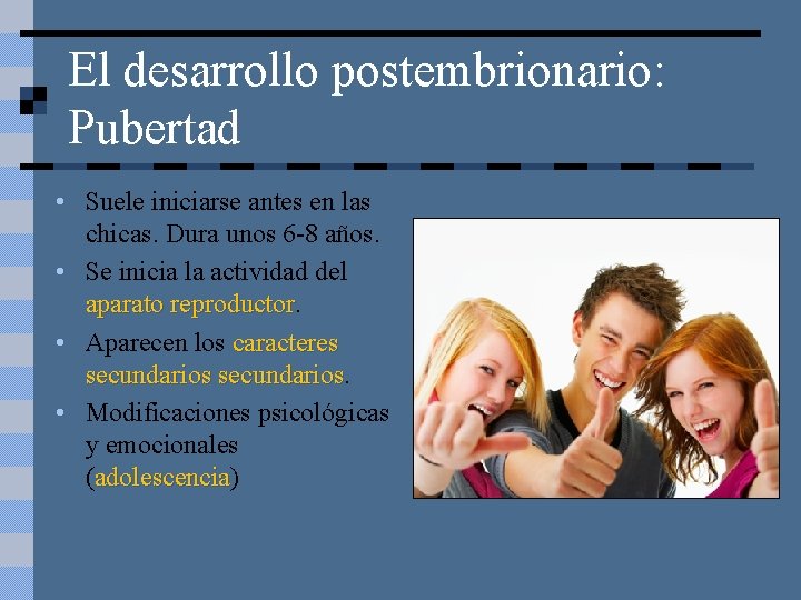 El desarrollo postembrionario: Pubertad • Suele iniciarse antes en las chicas. Dura unos 6