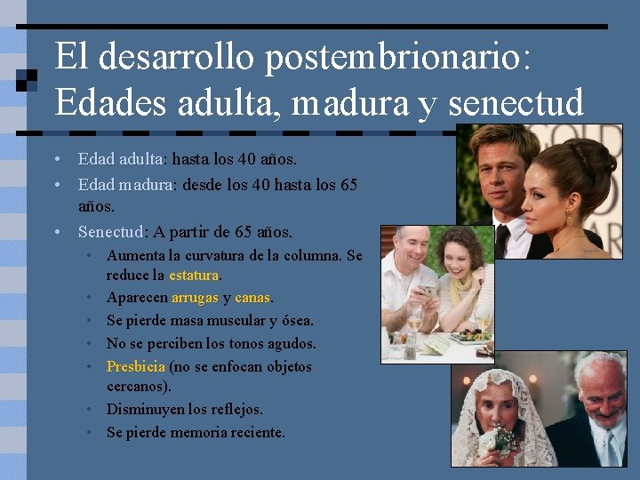 El desarrollo postembrionario: Edades adulta, madura y senectud • Edad adulta: adulta hasta los