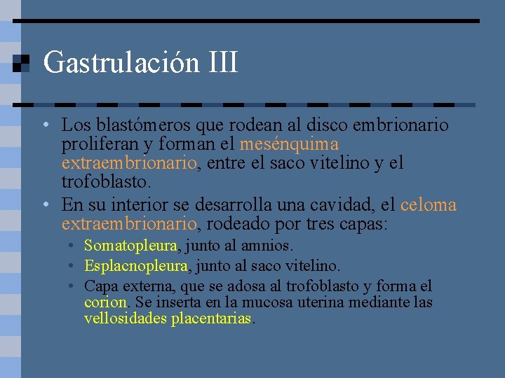Gastrulación III • Los blastómeros que rodean al disco embrionario proliferan y forman el