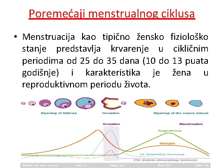 Poremećaji menstrualnog ciklusa • Menstruacija kao tipično žensko fiziološko stanje predstavlja krvarenje u cikličnim