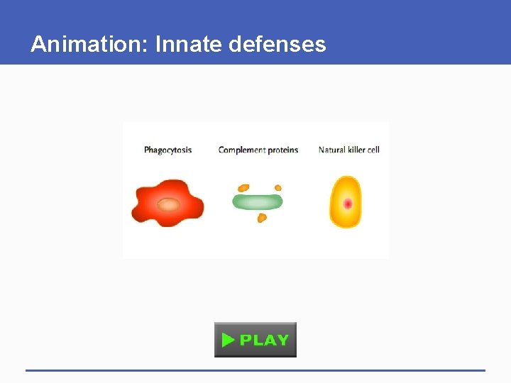 Animation: Innate defenses Animation: Innate defenses