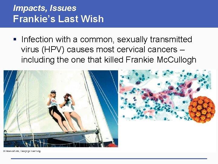 Impacts, Issues Frankie’s Last Wish § Infection with a common, sexually transmitted virus (HPV) Impacts, Issues Frankie’s Last Wish § Infection with a common, sexually transmitted virus (HPV)