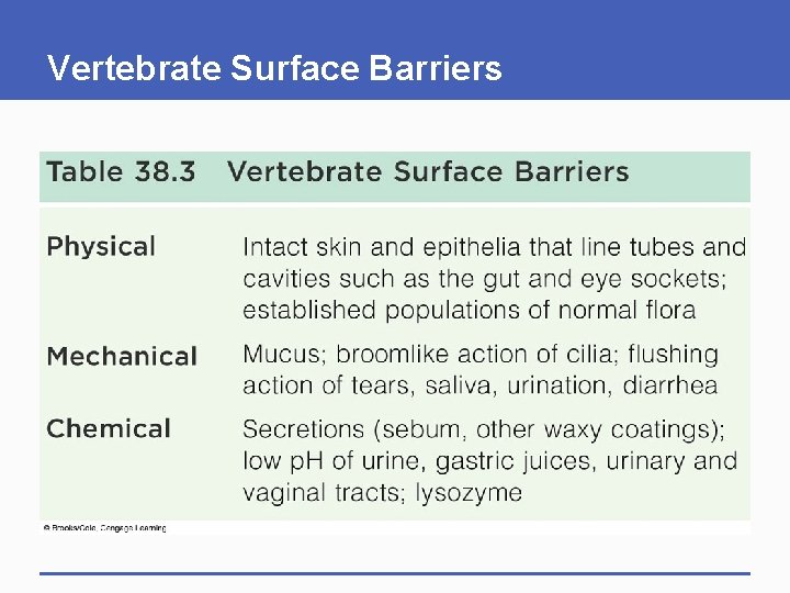 Vertebrate Surface Barriers Vertebrate Surface Barriers