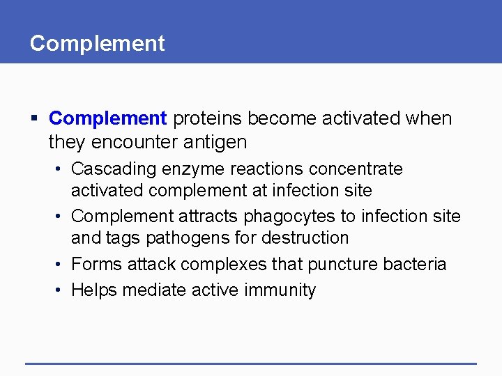 Complement § Complement proteins become activated when they encounter antigen • Cascading enzyme reactions Complement § Complement proteins become activated when they encounter antigen • Cascading enzyme reactions