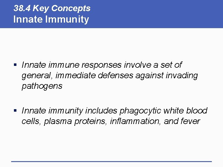 38. 4 Key Concepts Innate Immunity § Innate immune responses involve a set of 38. 4 Key Concepts Innate Immunity § Innate immune responses involve a set of