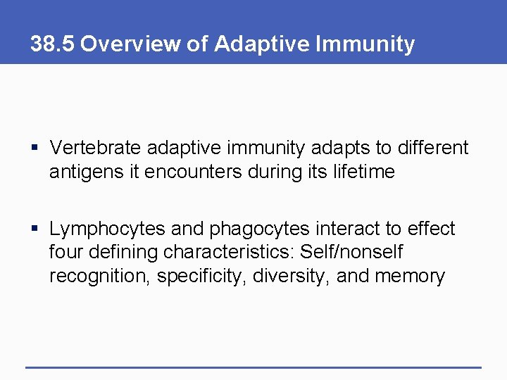 38. 5 Overview of Adaptive Immunity § Vertebrate adaptive immunity adapts to different antigens 38. 5 Overview of Adaptive Immunity § Vertebrate adaptive immunity adapts to different antigens