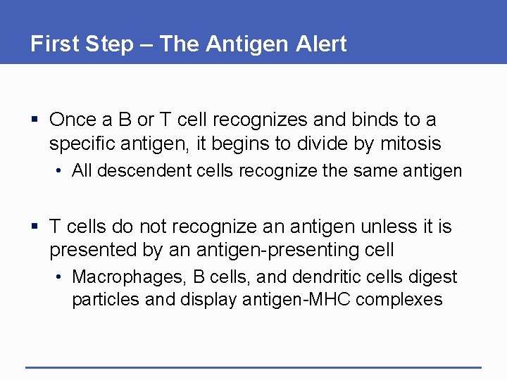 First Step – The Antigen Alert § Once a B or T cell recognizes First Step – The Antigen Alert § Once a B or T cell recognizes