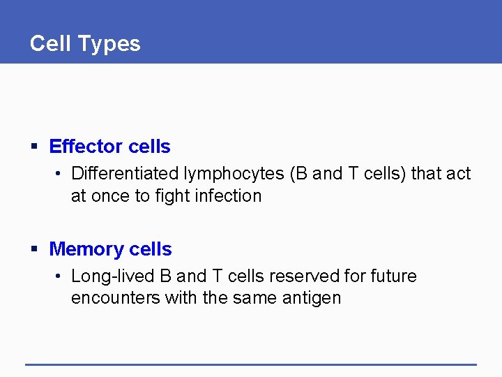 Cell Types § Effector cells • Differentiated lymphocytes (B and T cells) that act Cell Types § Effector cells • Differentiated lymphocytes (B and T cells) that act