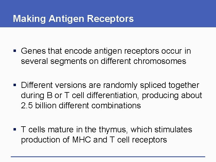 Making Antigen Receptors § Genes that encode antigen receptors occur in several segments on Making Antigen Receptors § Genes that encode antigen receptors occur in several segments on