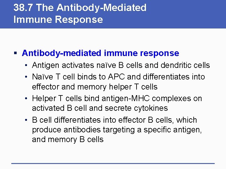 38. 7 The Antibody-Mediated Immune Response § Antibody-mediated immune response • Antigen activates naïve 38. 7 The Antibody-Mediated Immune Response § Antibody-mediated immune response • Antigen activates naïve