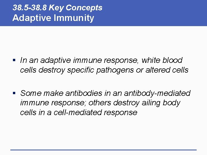 38. 5 -38. 8 Key Concepts Adaptive Immunity § In an adaptive immune response, 38. 5 -38. 8 Key Concepts Adaptive Immunity § In an adaptive immune response,