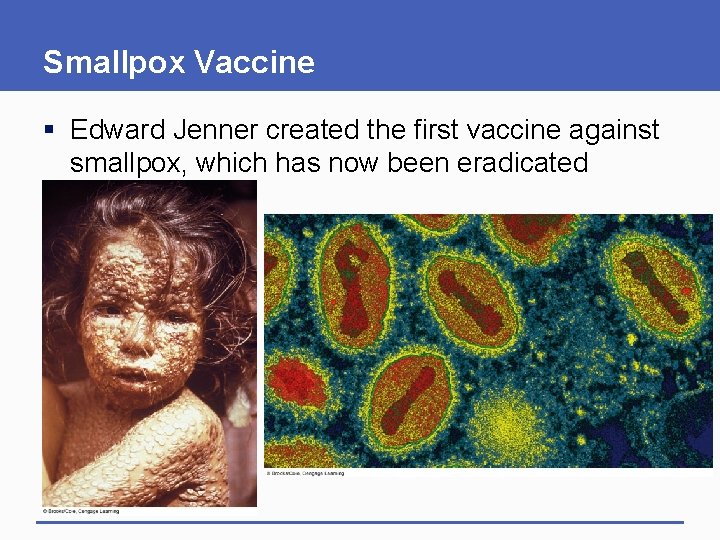 Smallpox Vaccine § Edward Jenner created the first vaccine against smallpox, which has now Smallpox Vaccine § Edward Jenner created the first vaccine against smallpox, which has now
