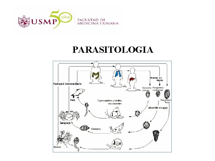 PARASITOLOGIA 