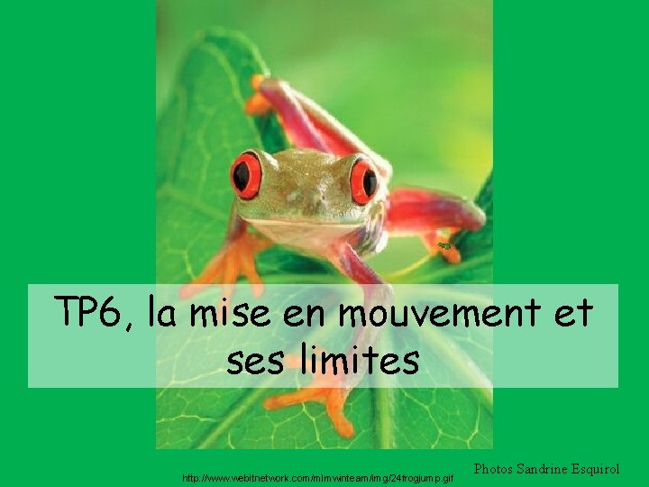 TP 6, la mise en mouvement et ses limites http: //www. webitnetwork. com/mlmwinteam/img/24 frogjump.