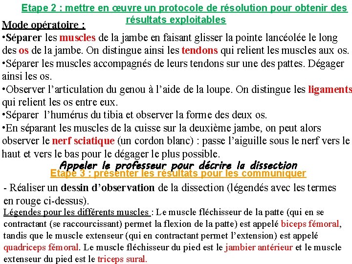 Etape 2 : mettre en œuvre un protocole de résolution pour obtenir des résultats