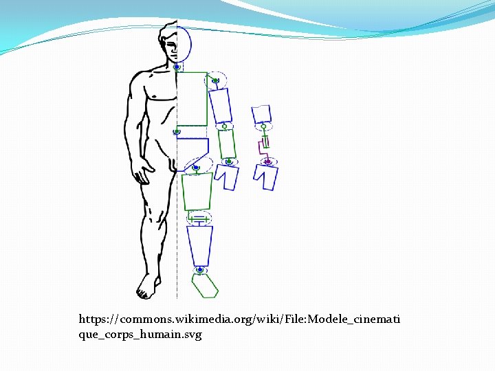 https: //commons. wikimedia. org/wiki/File: Modele_cinemati que_corps_humain. svg 