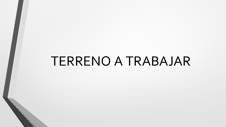 TERRENO A TRABAJAR 