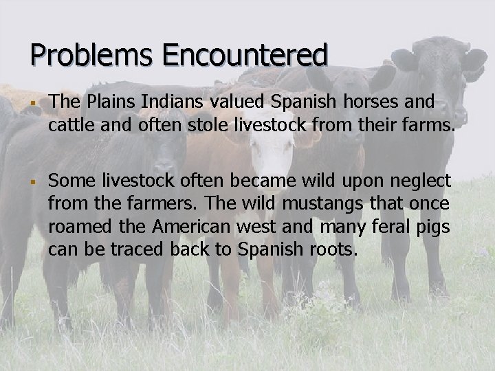 Problems Encountered § § The Plains Indians valued Spanish horses and cattle and often Problems Encountered § § The Plains Indians valued Spanish horses and cattle and often