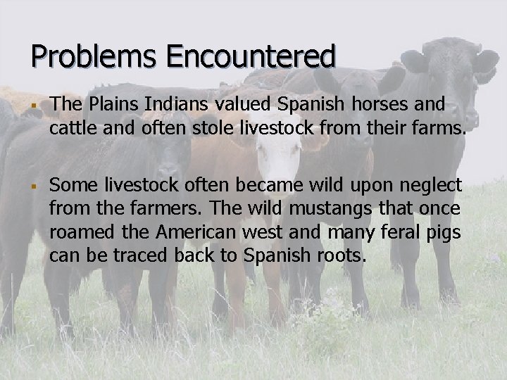 Problems Encountered § § The Plains Indians valued Spanish horses and cattle and often