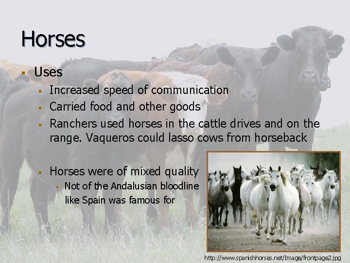 Horses § Uses § § Increased speed of communication Carried food and other goods