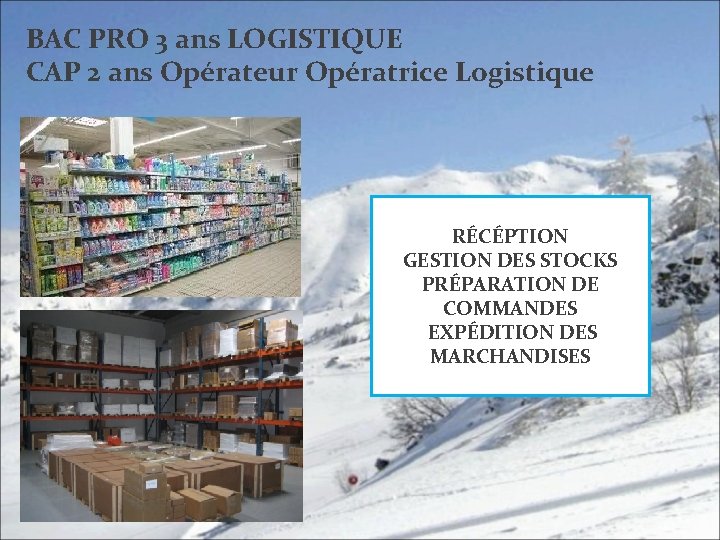 BAC PRO 3 ans LOGISTIQUE CAP 2 ans Opérateur Opératrice Logistique RÉCÉPTION GESTION DES