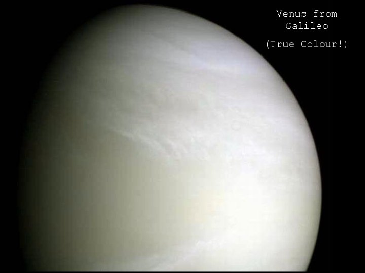 Venus from Galileo (True Colour!) 