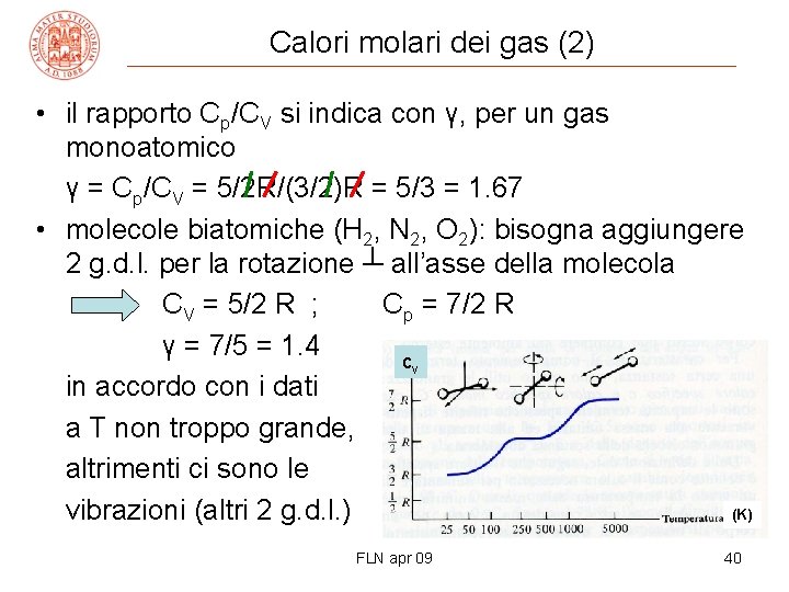 Calori molari dei gas (2) • il rapporto Cp/CV si indica con γ, per