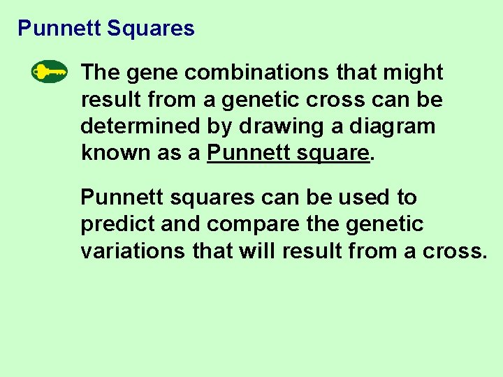 Punnett Squares The gene combinations that might result from a genetic cross can be