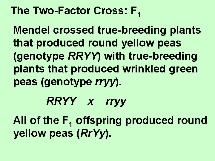 The Two-Factor Cross: F 1 Mendel crossed true-breeding plants that produced round yellow peas