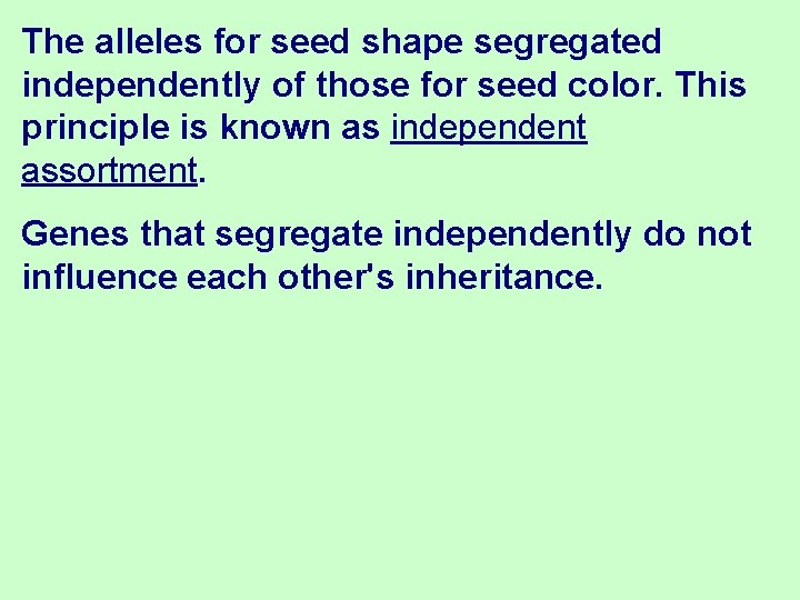 The alleles for seed shape segregated independently of those for seed color. This principle