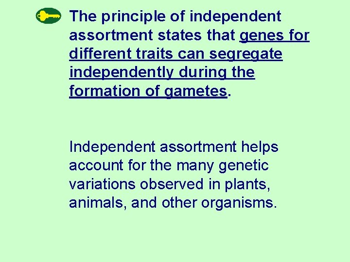 The principle of independent assortment states that genes for different traits can segregate independently