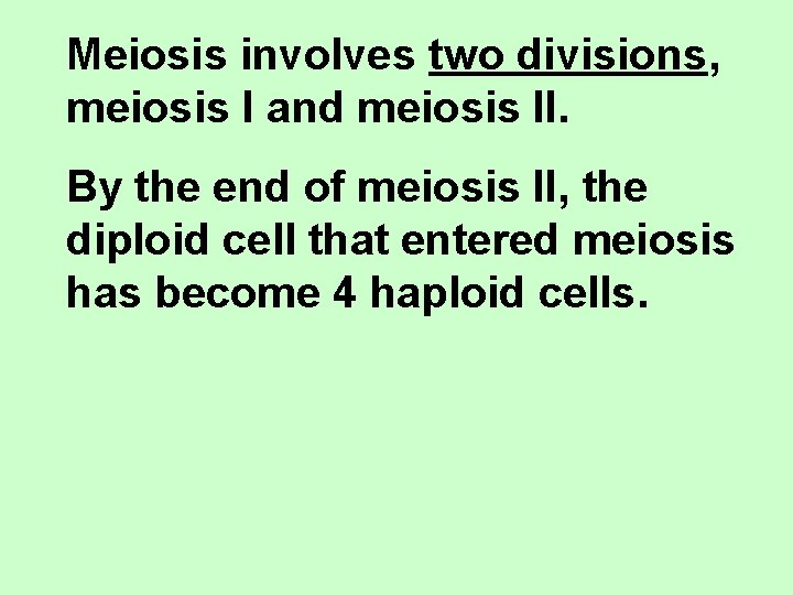 Meiosis involves two divisions, meiosis I and meiosis II. By the end of meiosis